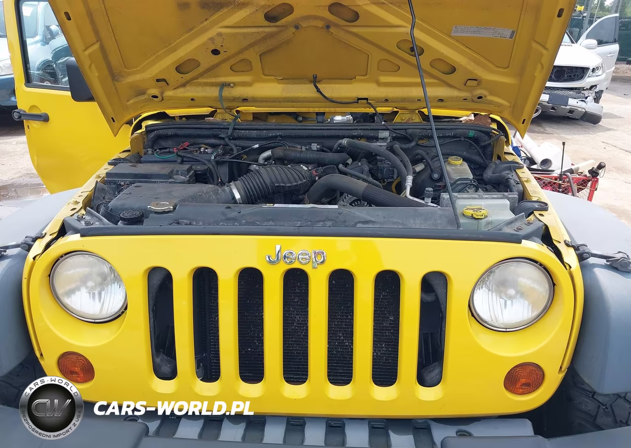 2009 Jeep Wrangler X VIN:1J4FA24179L756369 - 10