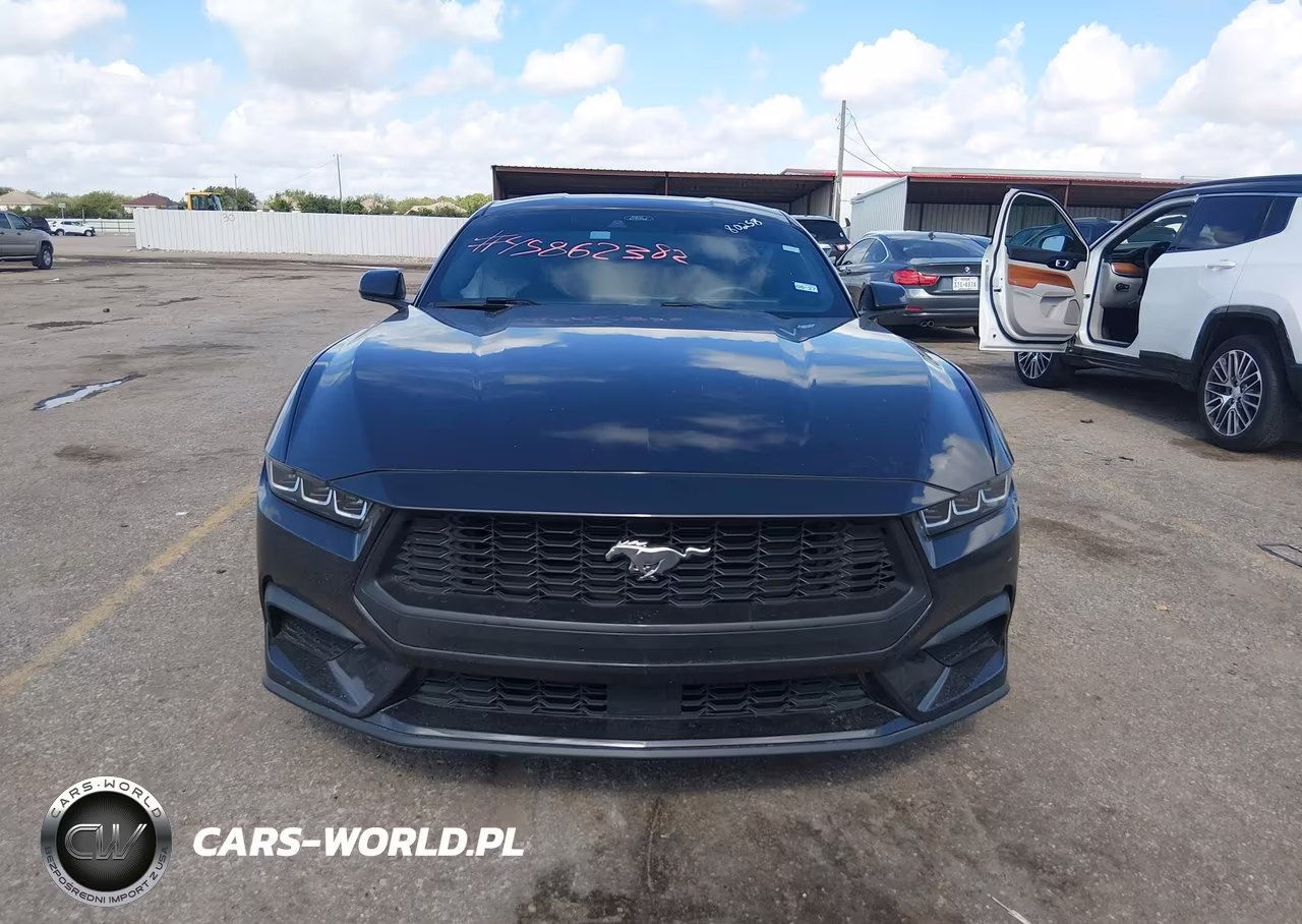 2024 Ford Mustang Ecoboost Fastback VIN:1FA6P8TH2R5134536 - 12