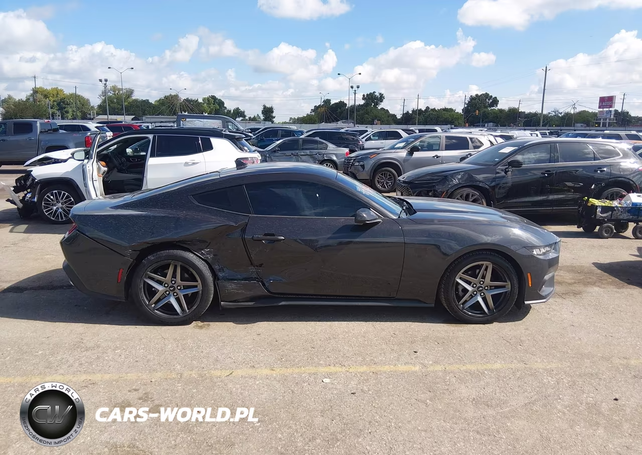 2024 Ford Mustang Ecoboost Fastback VIN:1FA6P8TH2R5134536 - 13