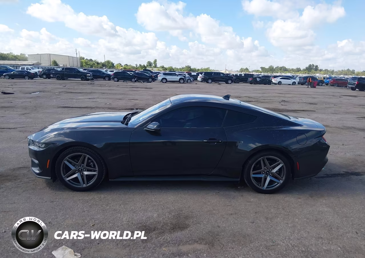 2024 Ford Mustang Ecoboost Fastback VIN:1FA6P8TH2R5134536 - 14