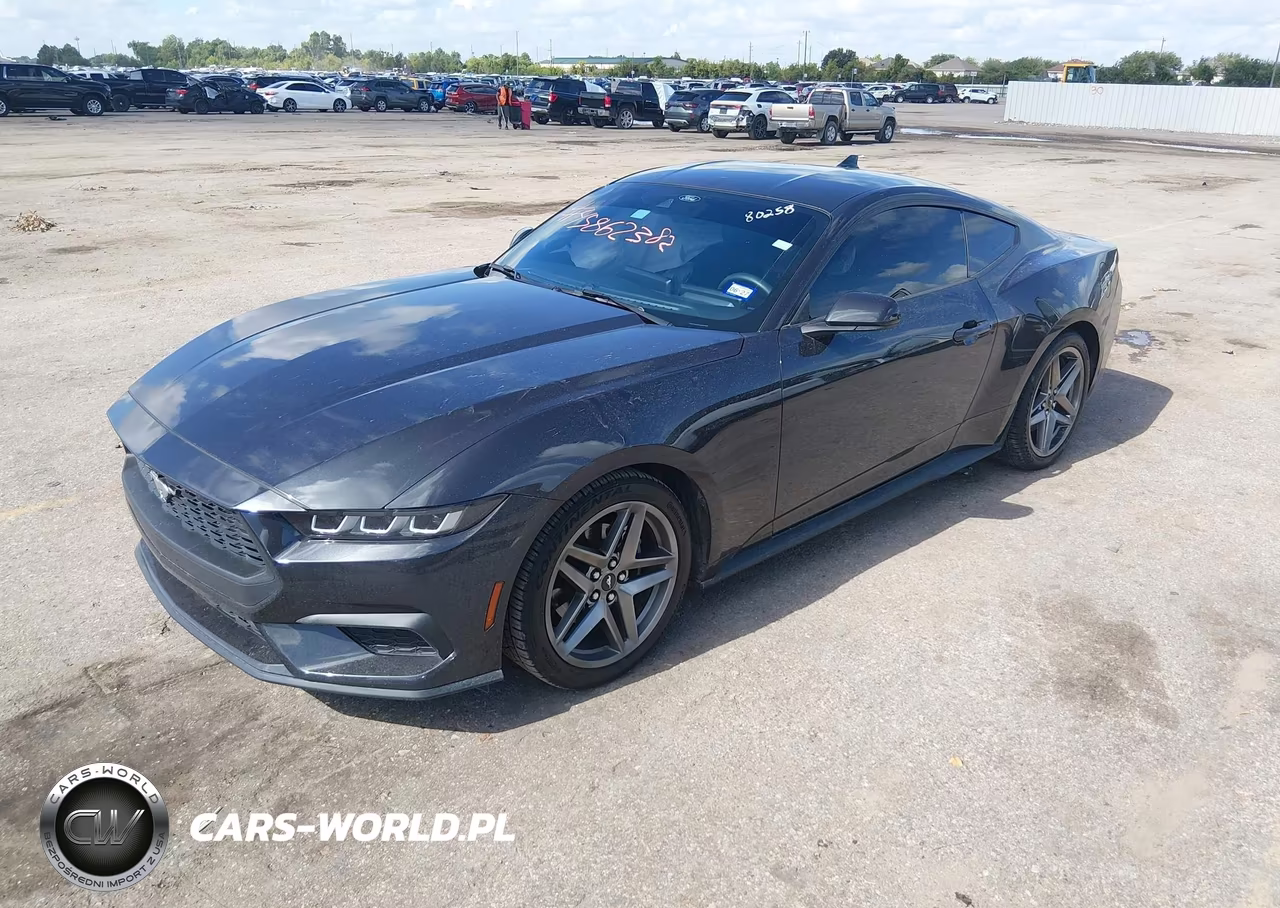 2024 Ford Mustang Ecoboost Fastback VIN:1FA6P8TH2R5134536 - 2