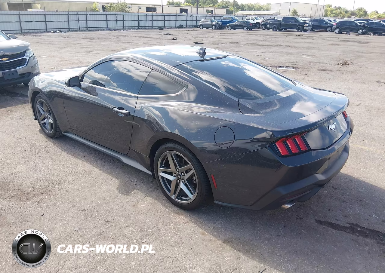 2024 Ford Mustang Ecoboost Fastback VIN:1FA6P8TH2R5134536 - 3