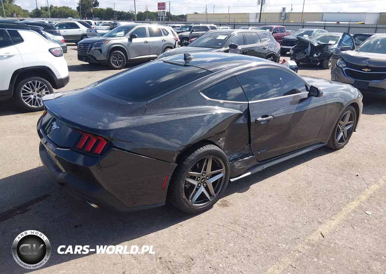 2024 Ford Mustang Ecoboost Fastback VIN:1FA6P8TH2R5134536 - 4