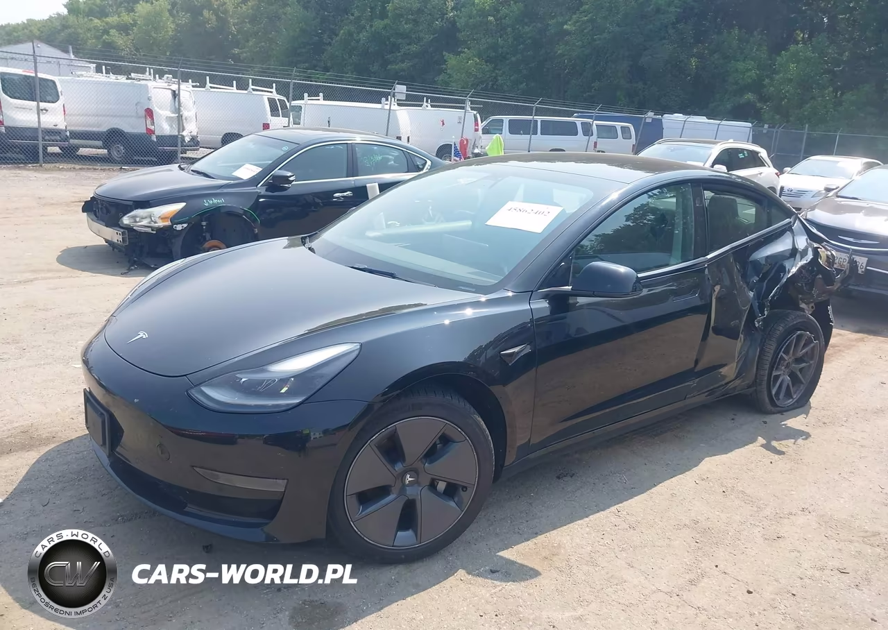 2022 Tesla Model 3 Rear-Wheel Drive VIN:5YJ3E1EA9NF122208 - 2