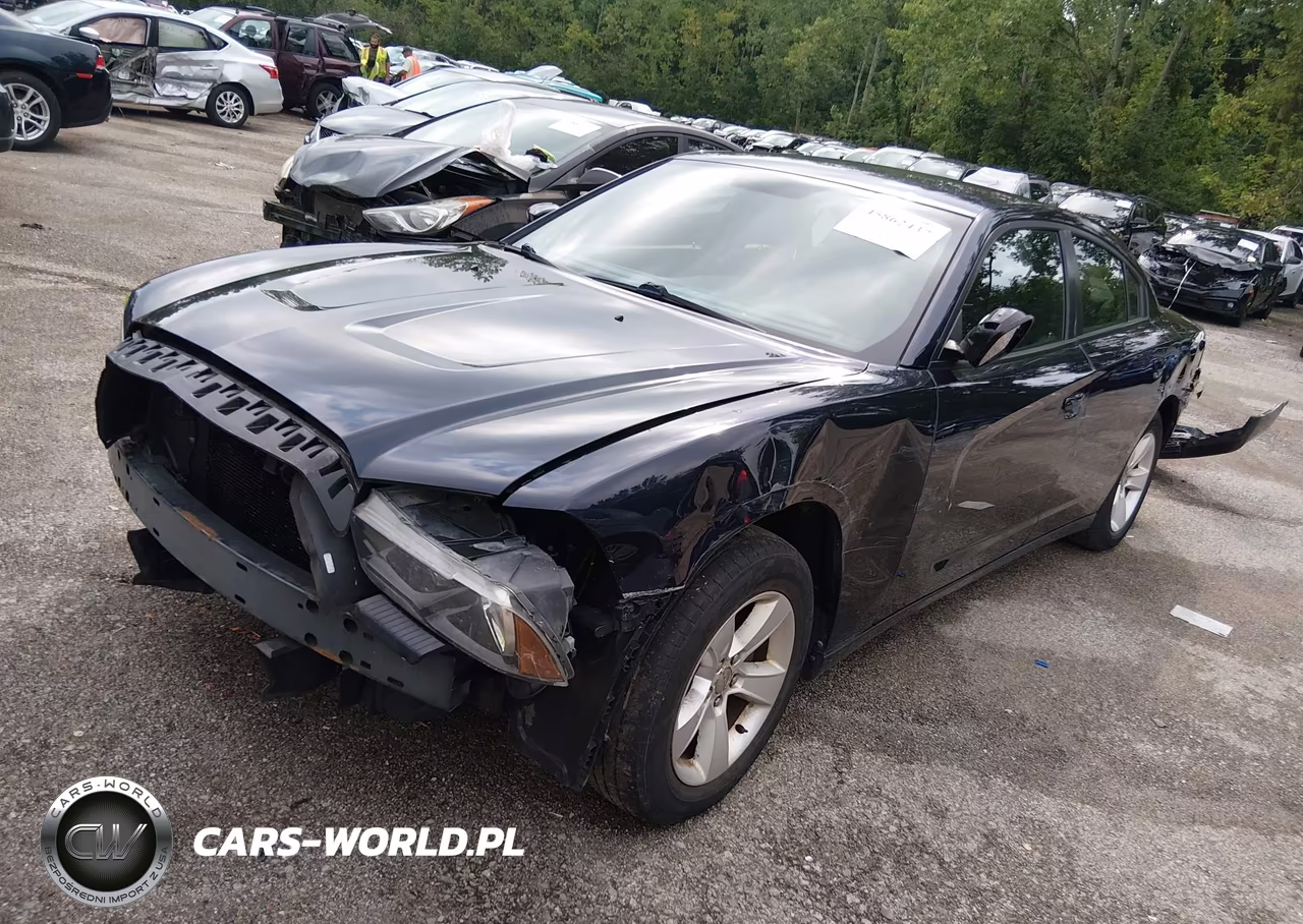 2011 Dodge Charger VIN:2B3CL3CG2BH543994 - 2