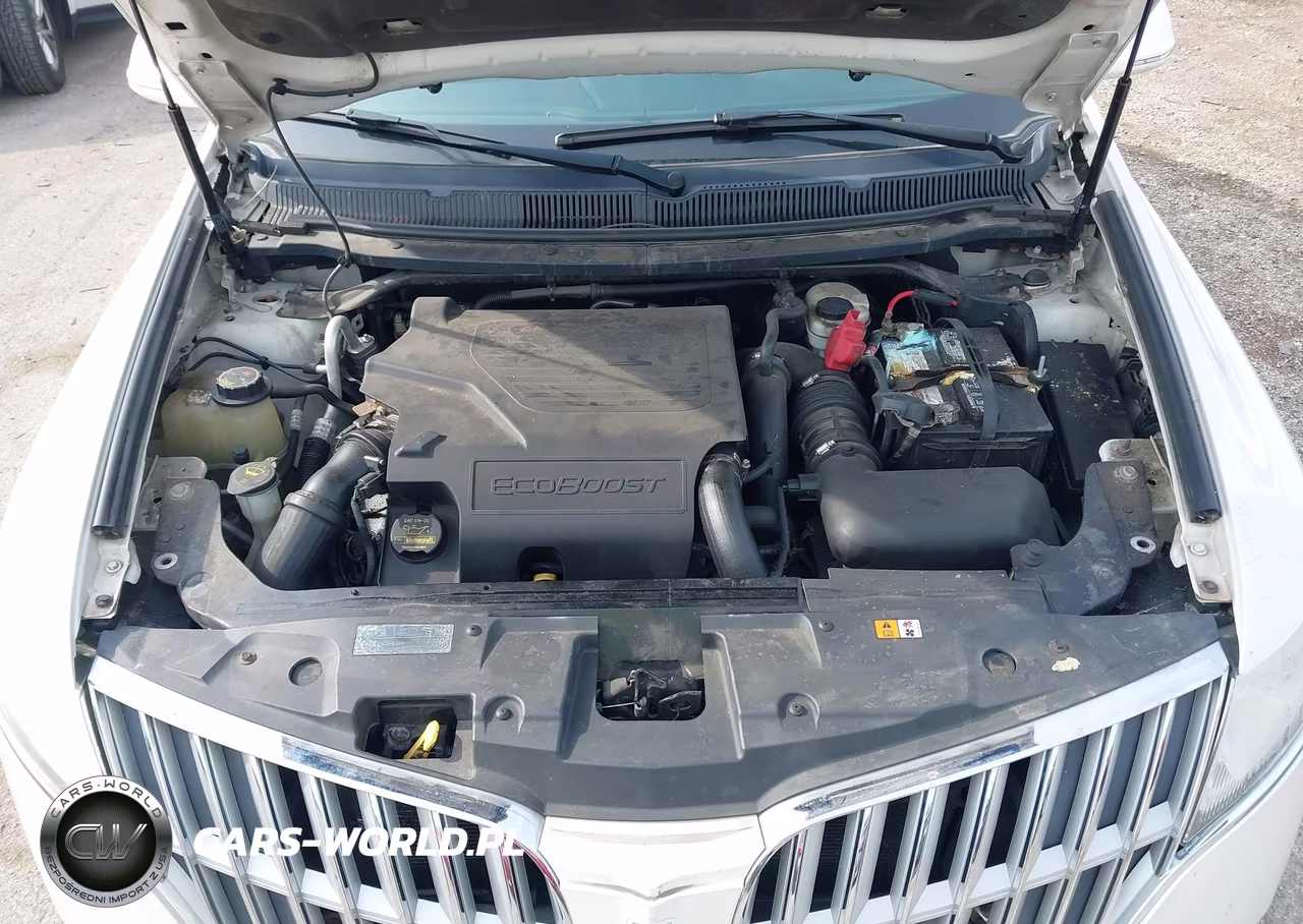 2010 Lincoln Mkt Ecoboost VIN:2LMHJ5AT9ABJ24709 - 10