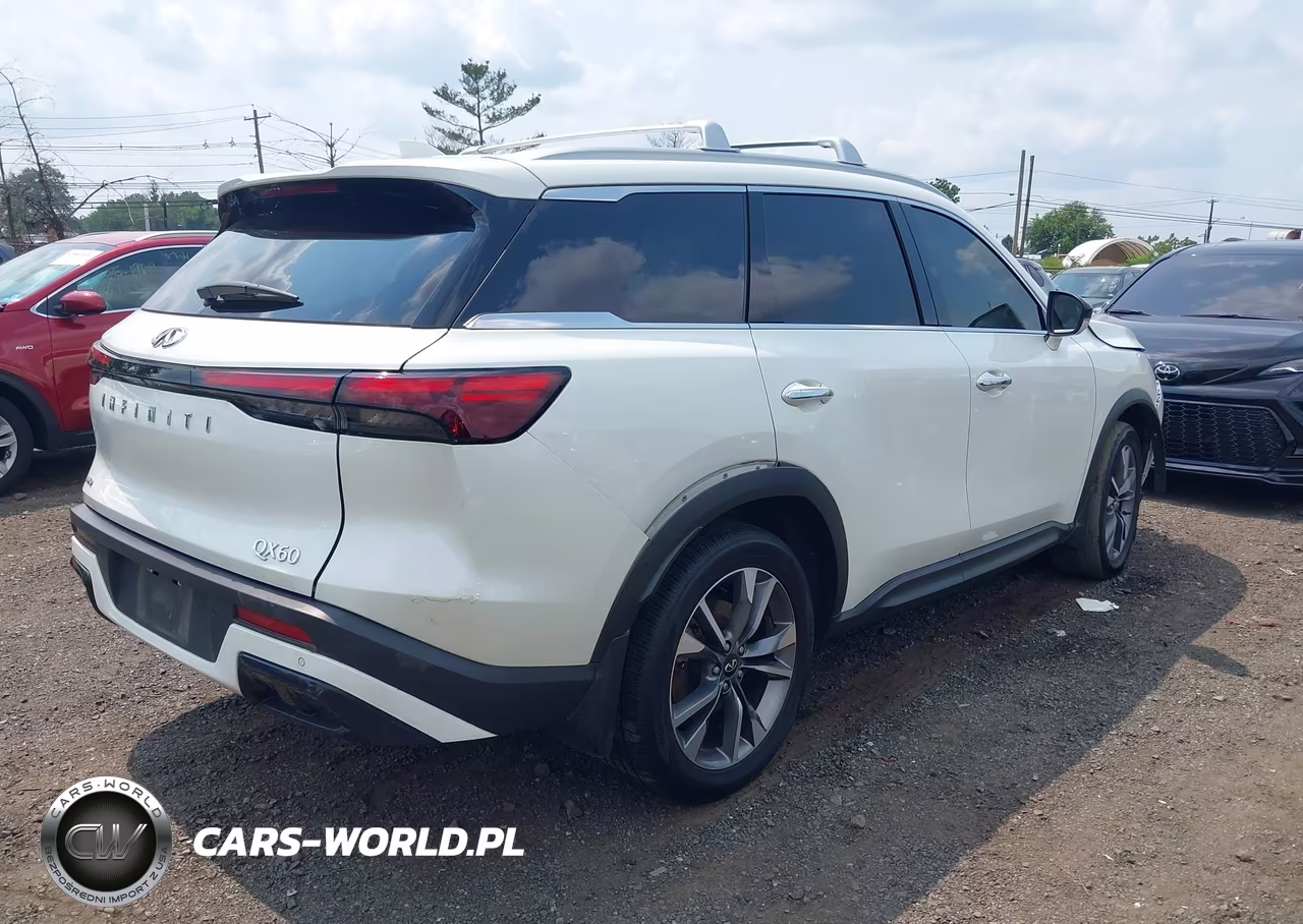 2025 Infiniti Qx60 Luxe Awd VIN:5N1AL1FS5SC331194 - 4