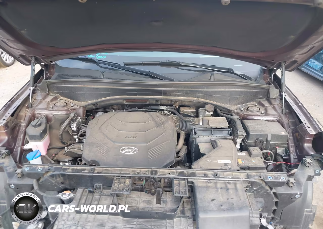 2024 Hyundai Palisade Calligraphy VIN:KM8R74GE5RU776704 - 10