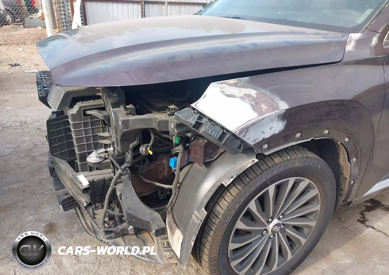 2024 Hyundai Palisade Calligraphy VIN:KM8R74GE5RU776704 - 6