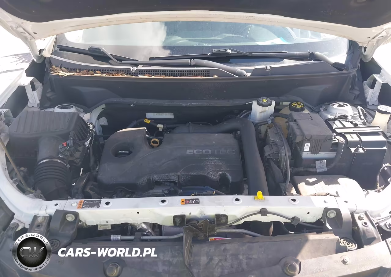 2019 Chevrolet Equinox Lt VIN:2GNAXKEVXK6134175 - 10