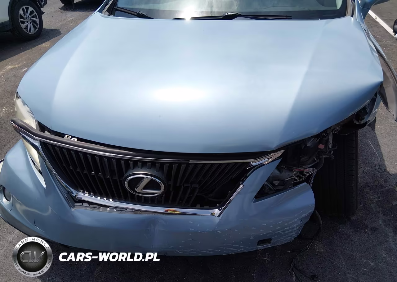 2010 Lexus Rx 350 VIN:2T2BK1BA1AC052366 - 6