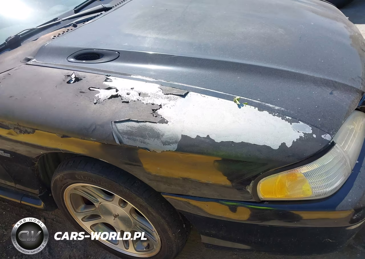 1997 Ford Mustang Gt VIN:1FALP42X2VF131225 - 6