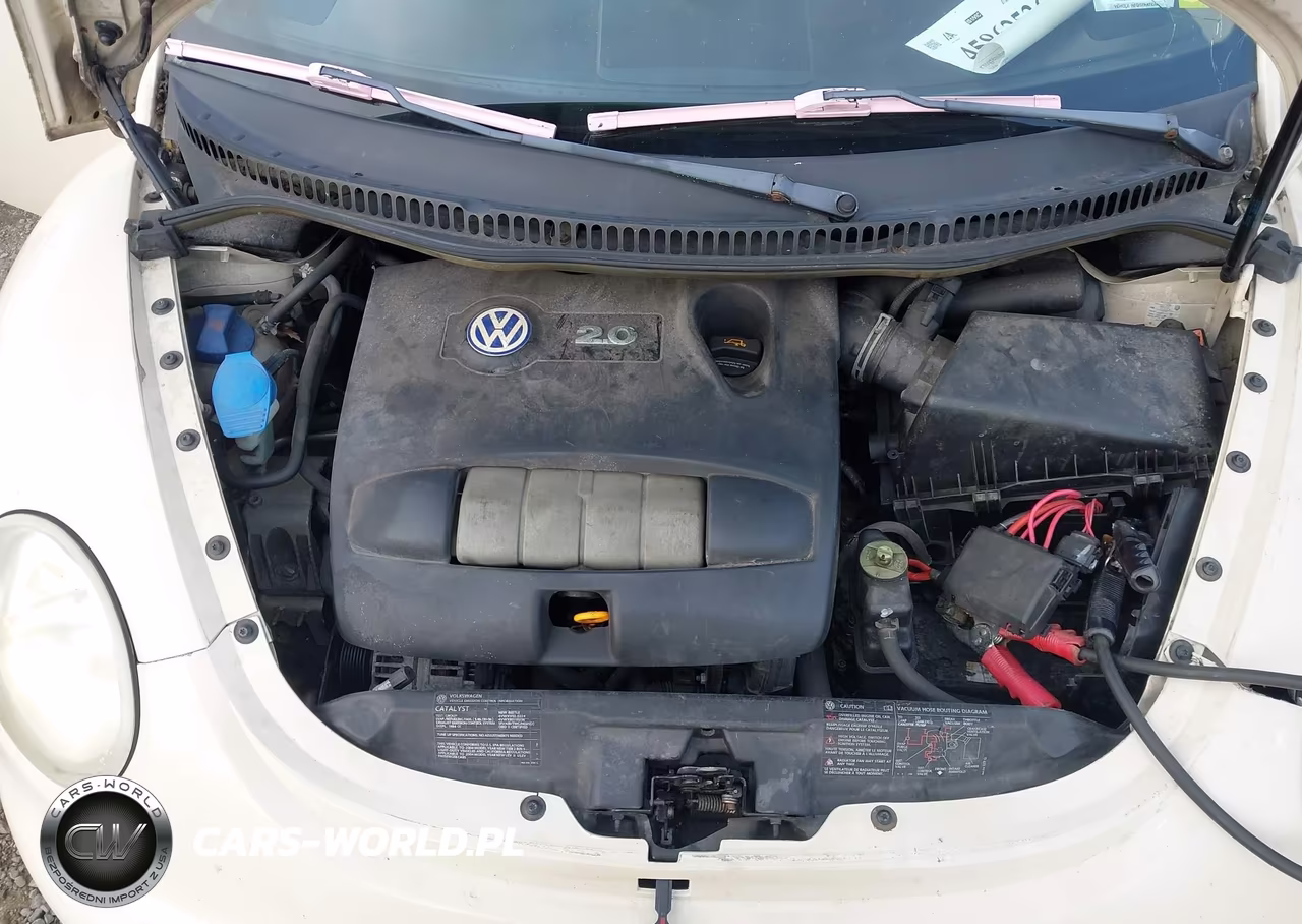 2004 Volkswagen New Beetle Gls VIN:3VWCM31Y74M321976 - 10
