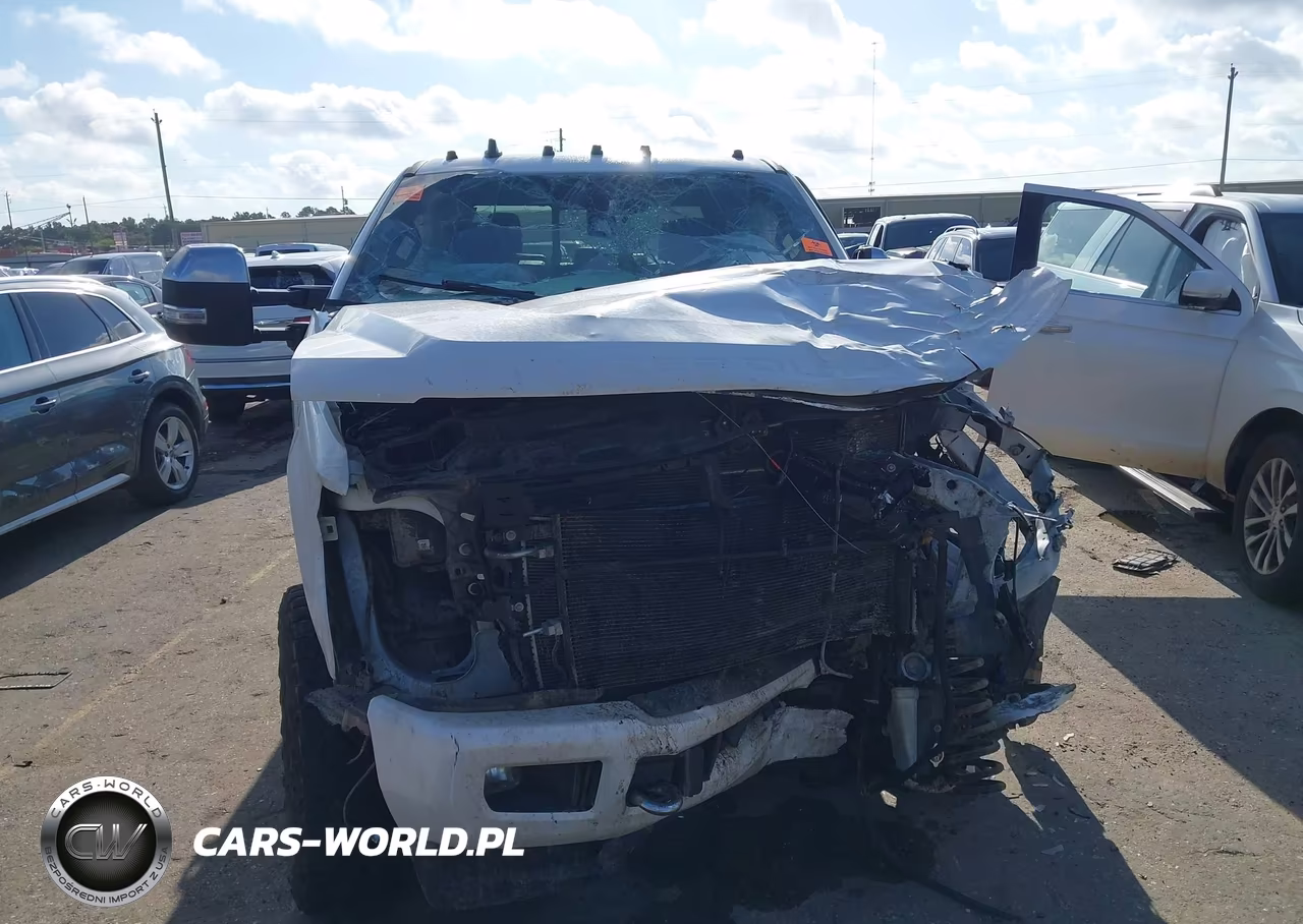 2019 Ford Super Duty F-250 Srw Platinum VIN:1FT7W2BT2KED32740 - 11