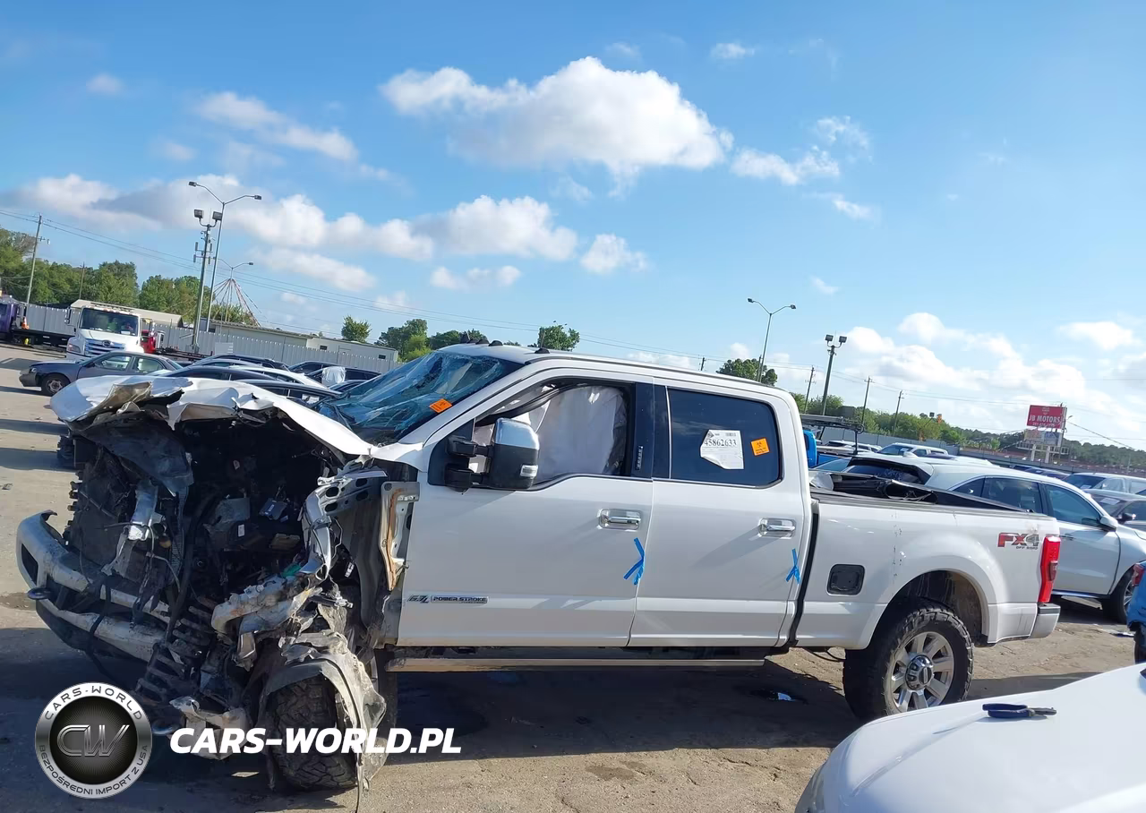 2019 Ford Super Duty F-250 Srw Platinum VIN:1FT7W2BT2KED32740 - 13