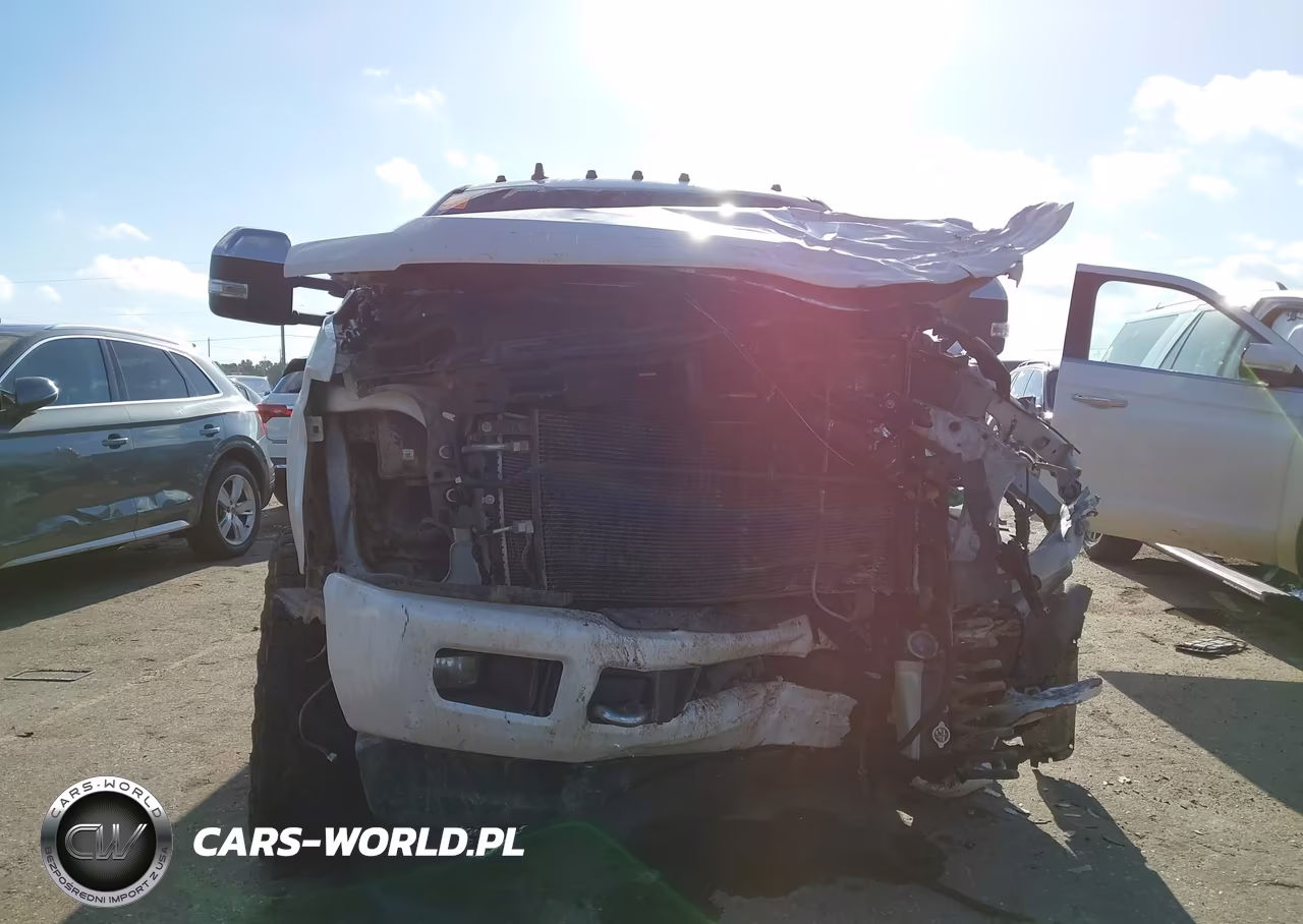 2019 Ford Super Duty F-250 Srw Platinum VIN:1FT7W2BT2KED32740 - 6