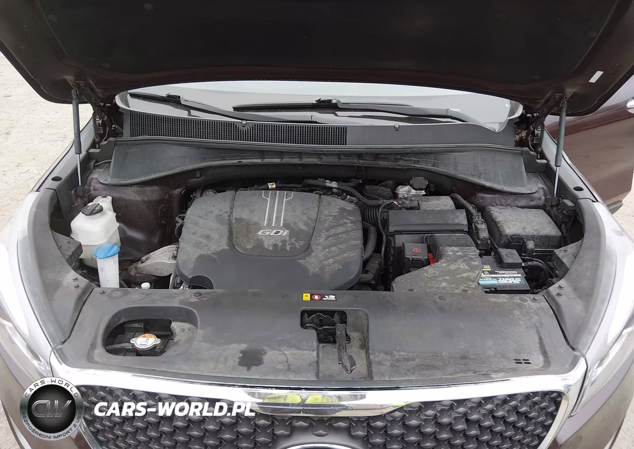 2017 Kia Sorento 3.3L Lx VIN:5XYPGDA59HG327904 - 10