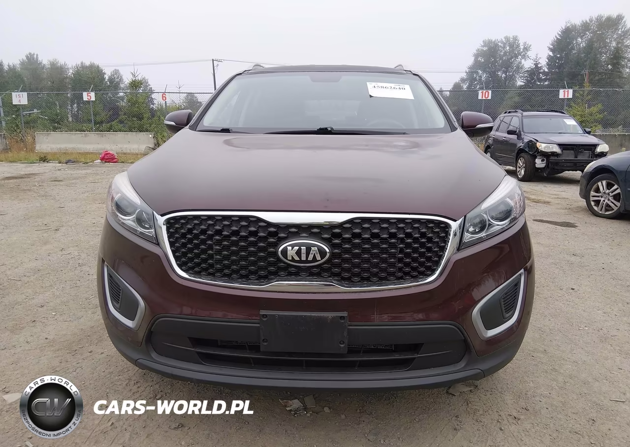 2017 Kia Sorento 3.3L Lx VIN:5XYPGDA59HG327904 - 12