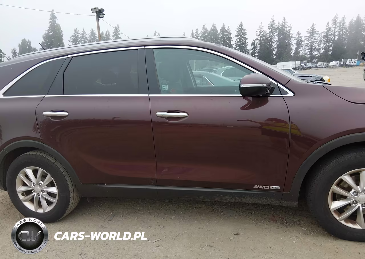 2017 Kia Sorento 3.3L Lx VIN:5XYPGDA59HG327904 - 13