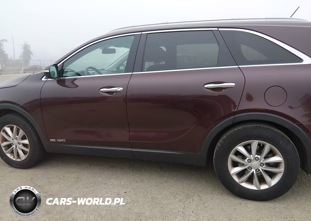 2017 Kia Sorento 3.3L Lx VIN:5XYPGDA59HG327904 - 14