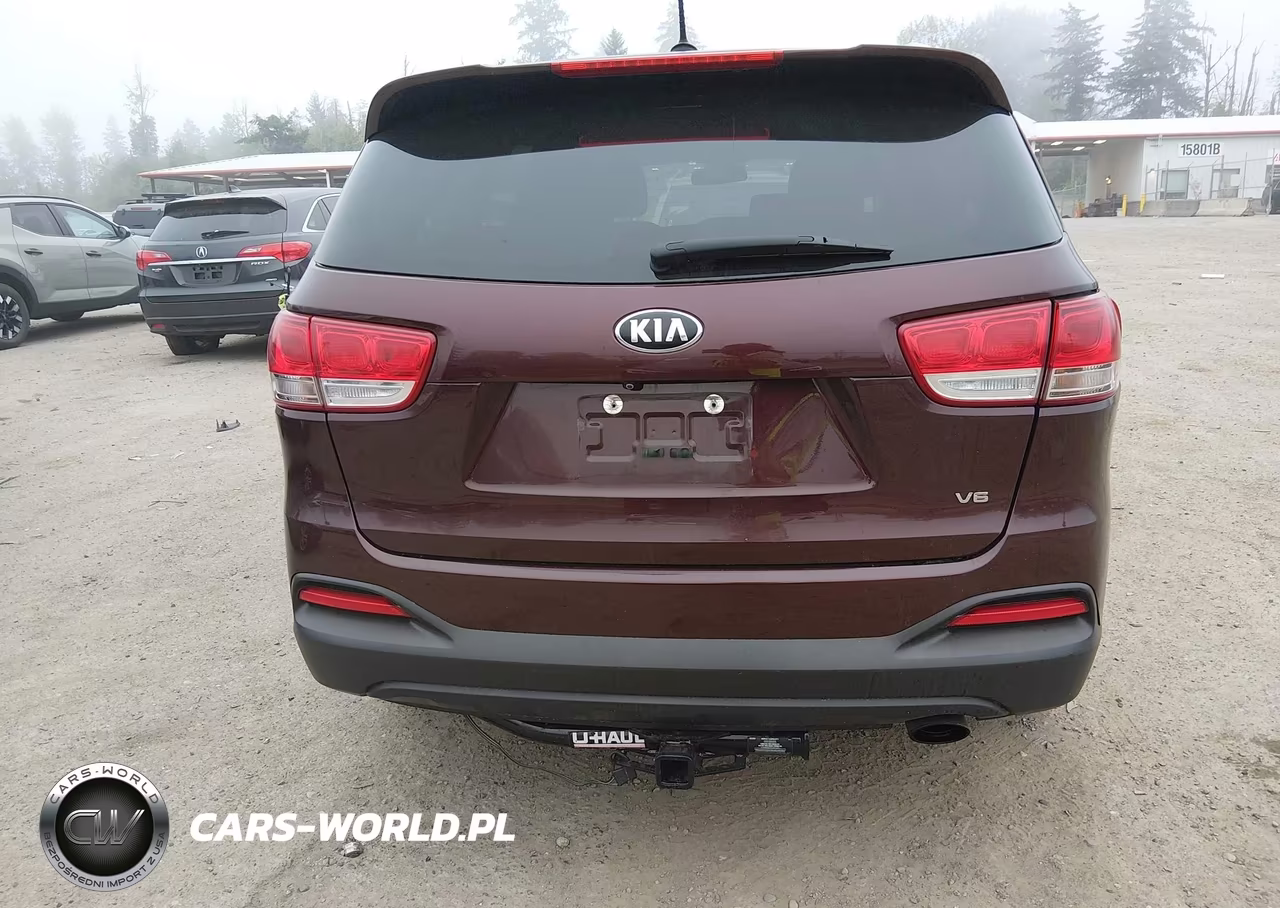 2017 Kia Sorento 3.3L Lx VIN:5XYPGDA59HG327904 - 16