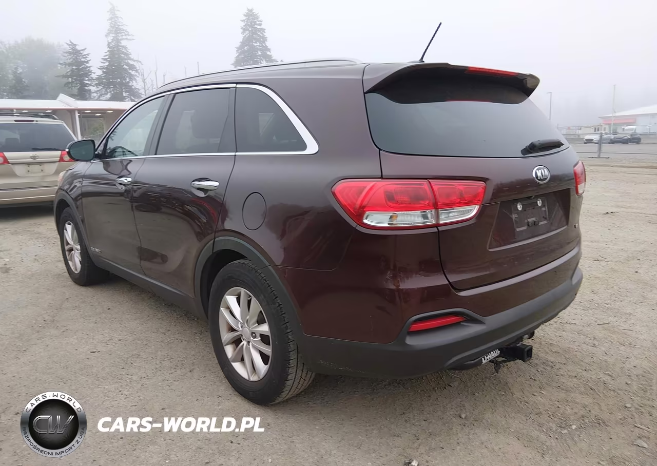 2017 Kia Sorento 3.3L Lx VIN:5XYPGDA59HG327904 - 3