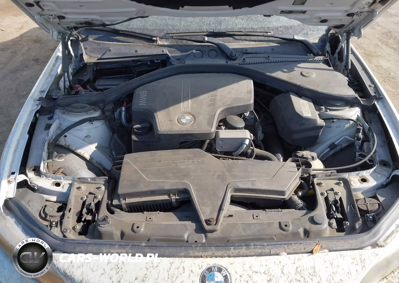 2014 BMW 228I VIN:WBA1F5C58EV255901 - 10
