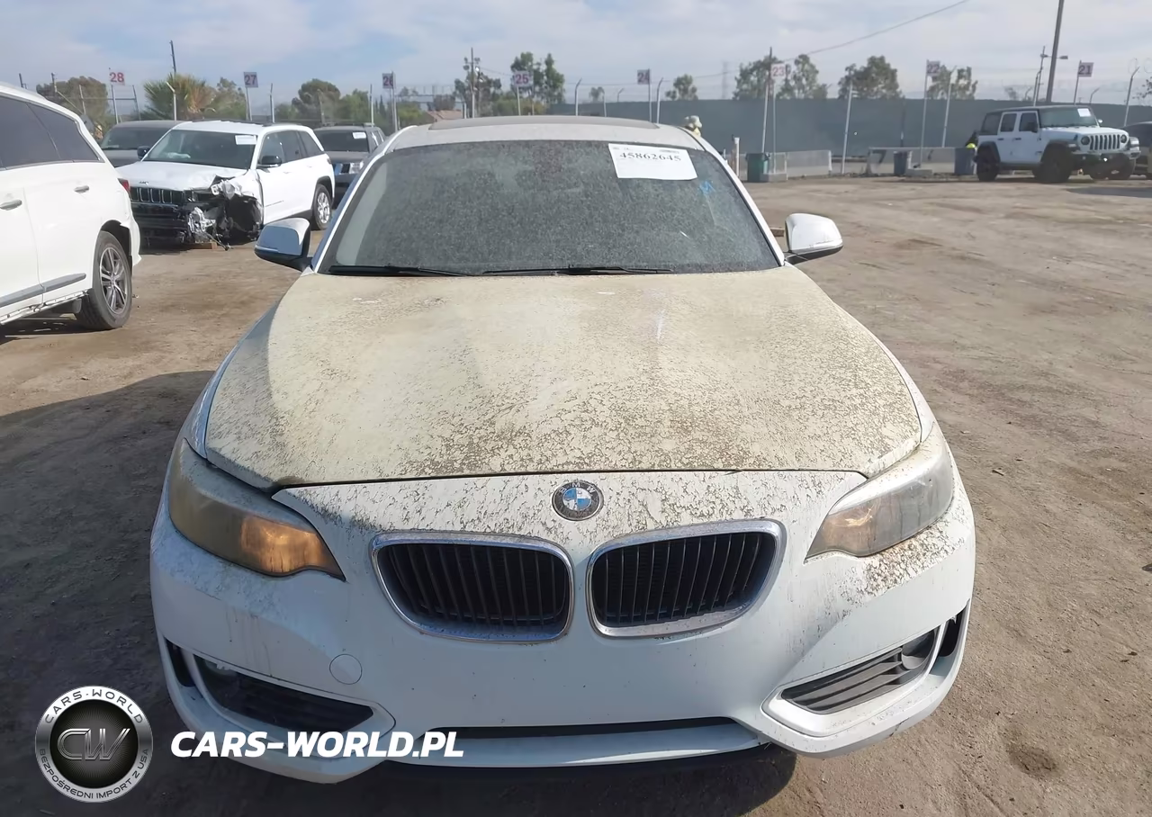 2014 BMW 228I VIN:WBA1F5C58EV255901 - 12