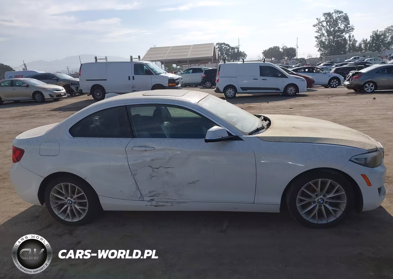2014 BMW 228I VIN:WBA1F5C58EV255901 - 13