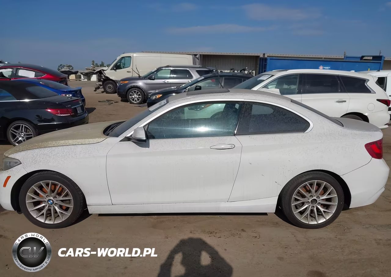2014 BMW 228I VIN:WBA1F5C58EV255901 - 14
