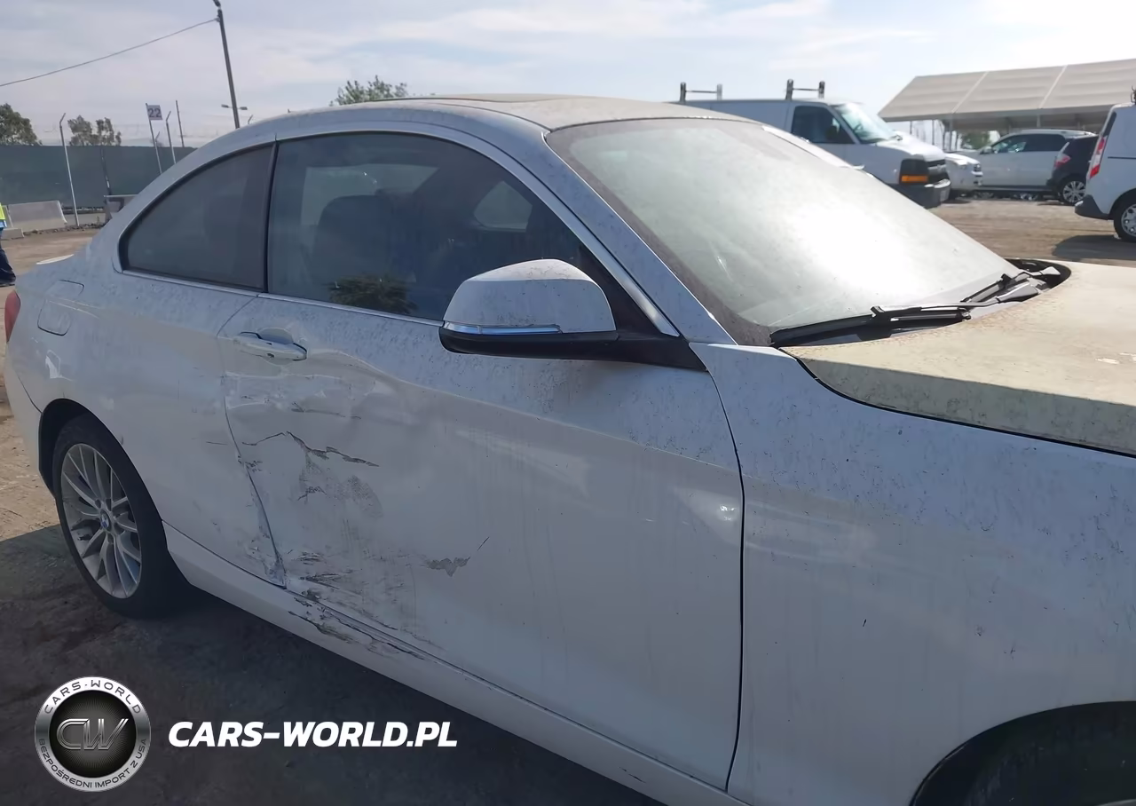 2014 BMW 228I VIN:WBA1F5C58EV255901 - 17