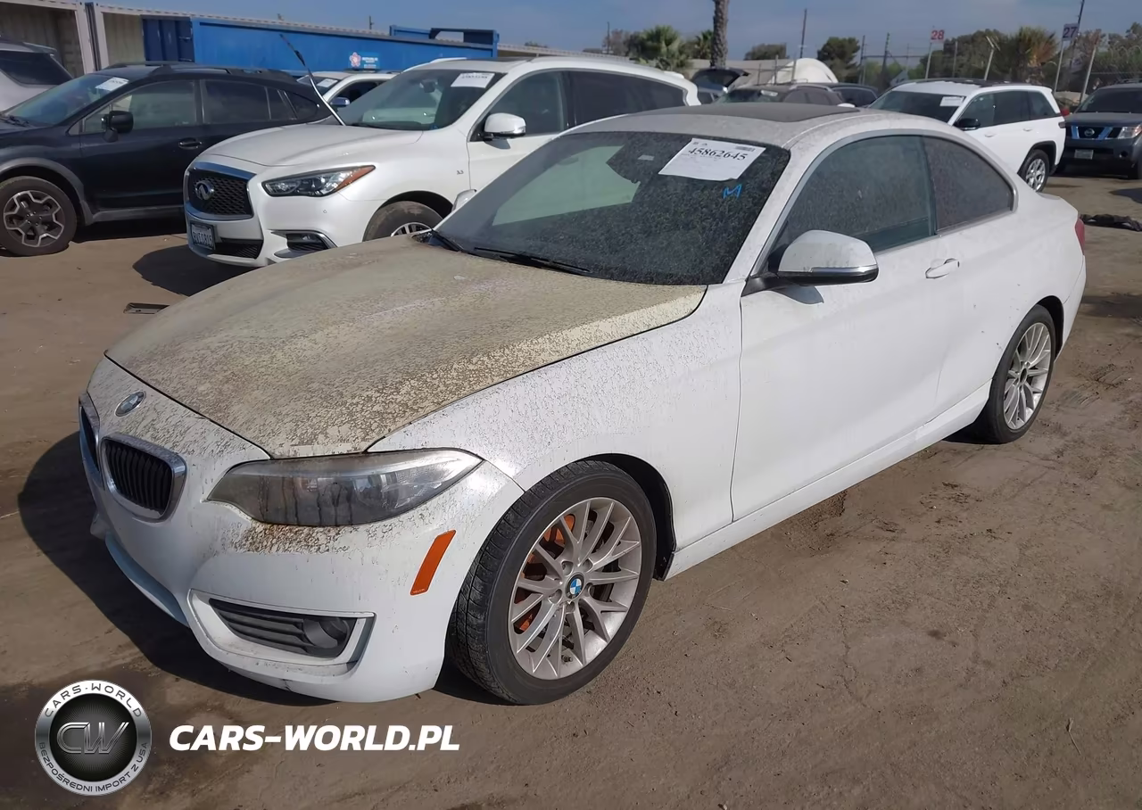 2014 BMW 228I VIN:WBA1F5C58EV255901 - 2