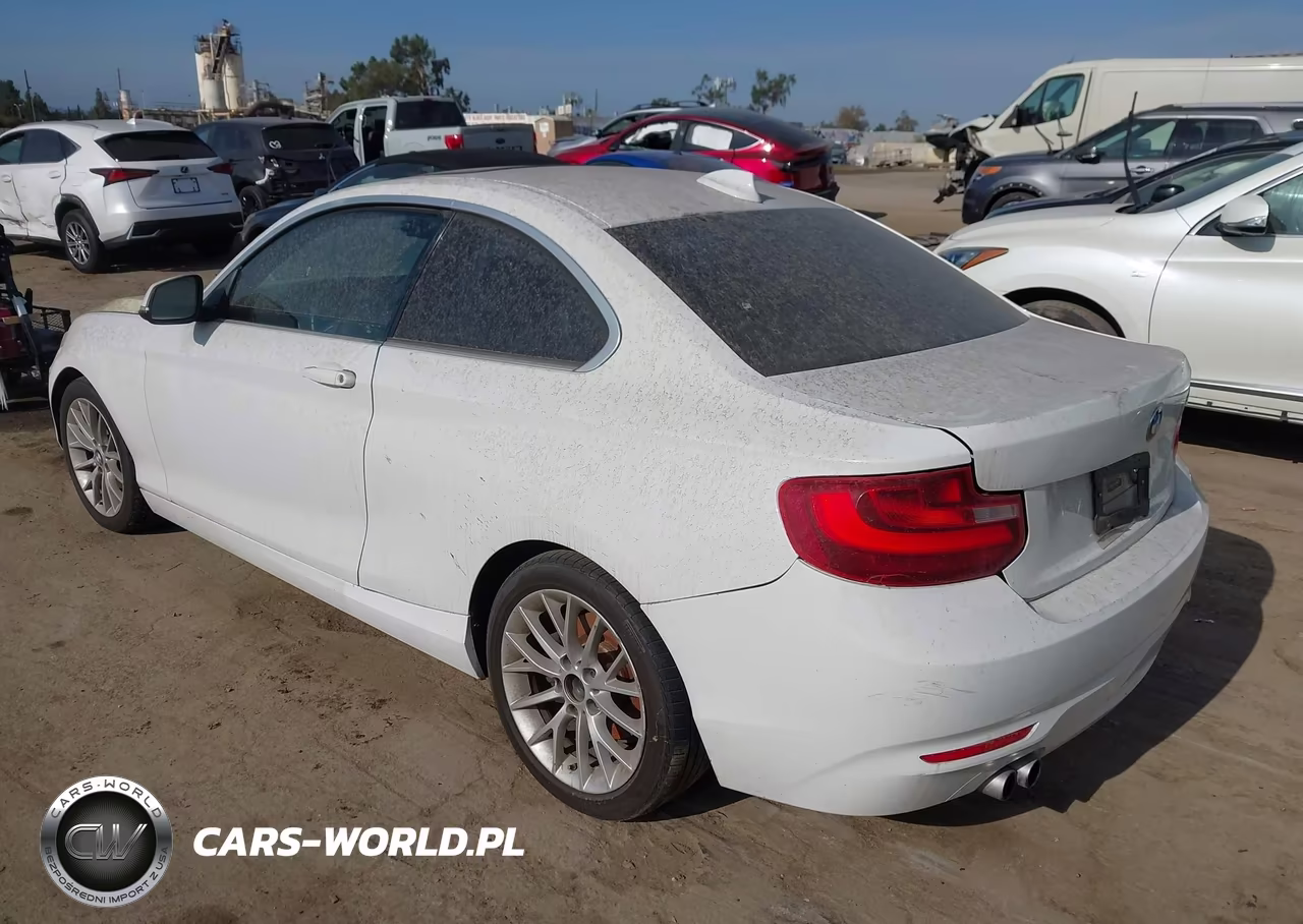2014 BMW 228I VIN:WBA1F5C58EV255901 - 3