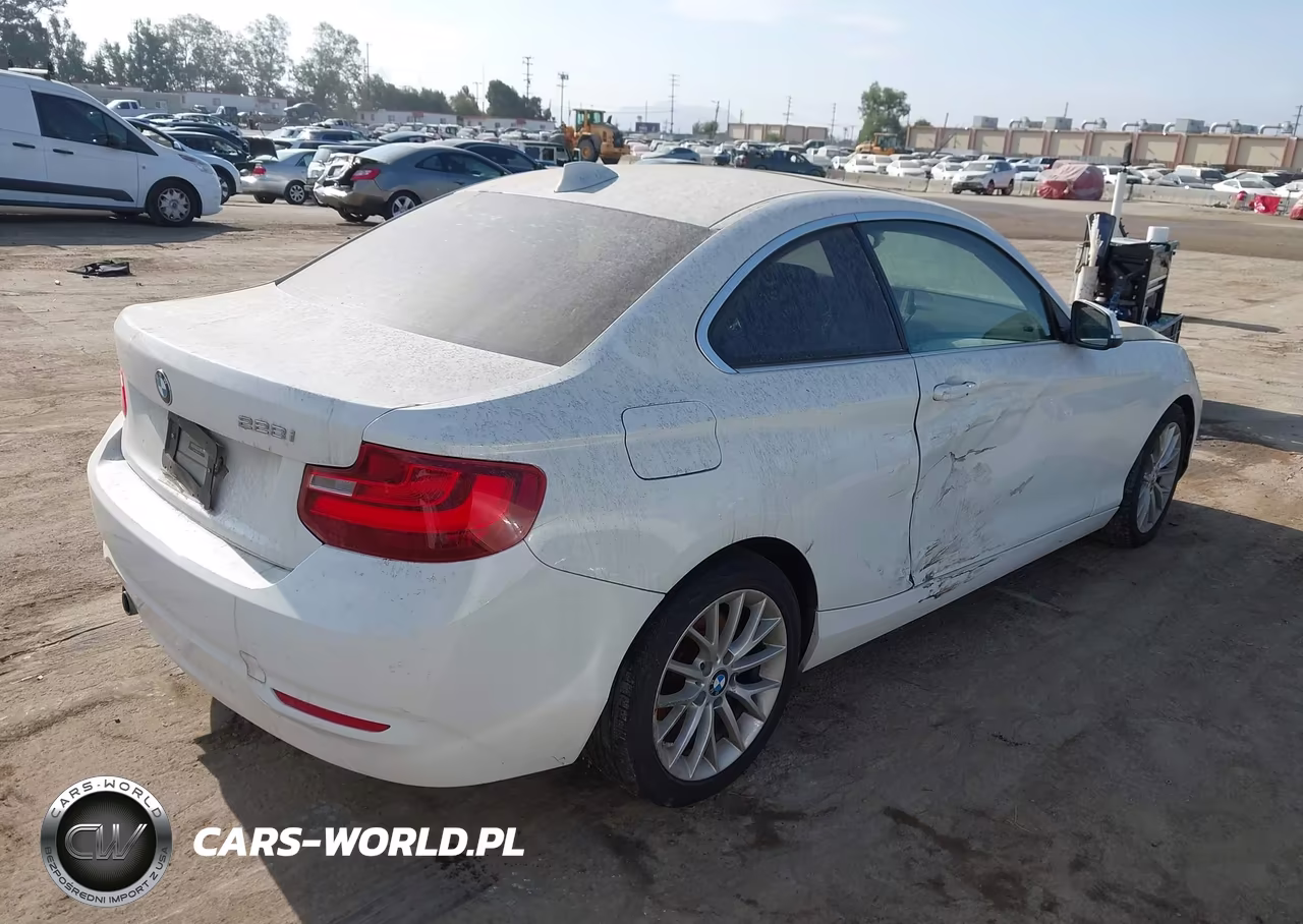 2014 BMW 228I VIN:WBA1F5C58EV255901 - 4