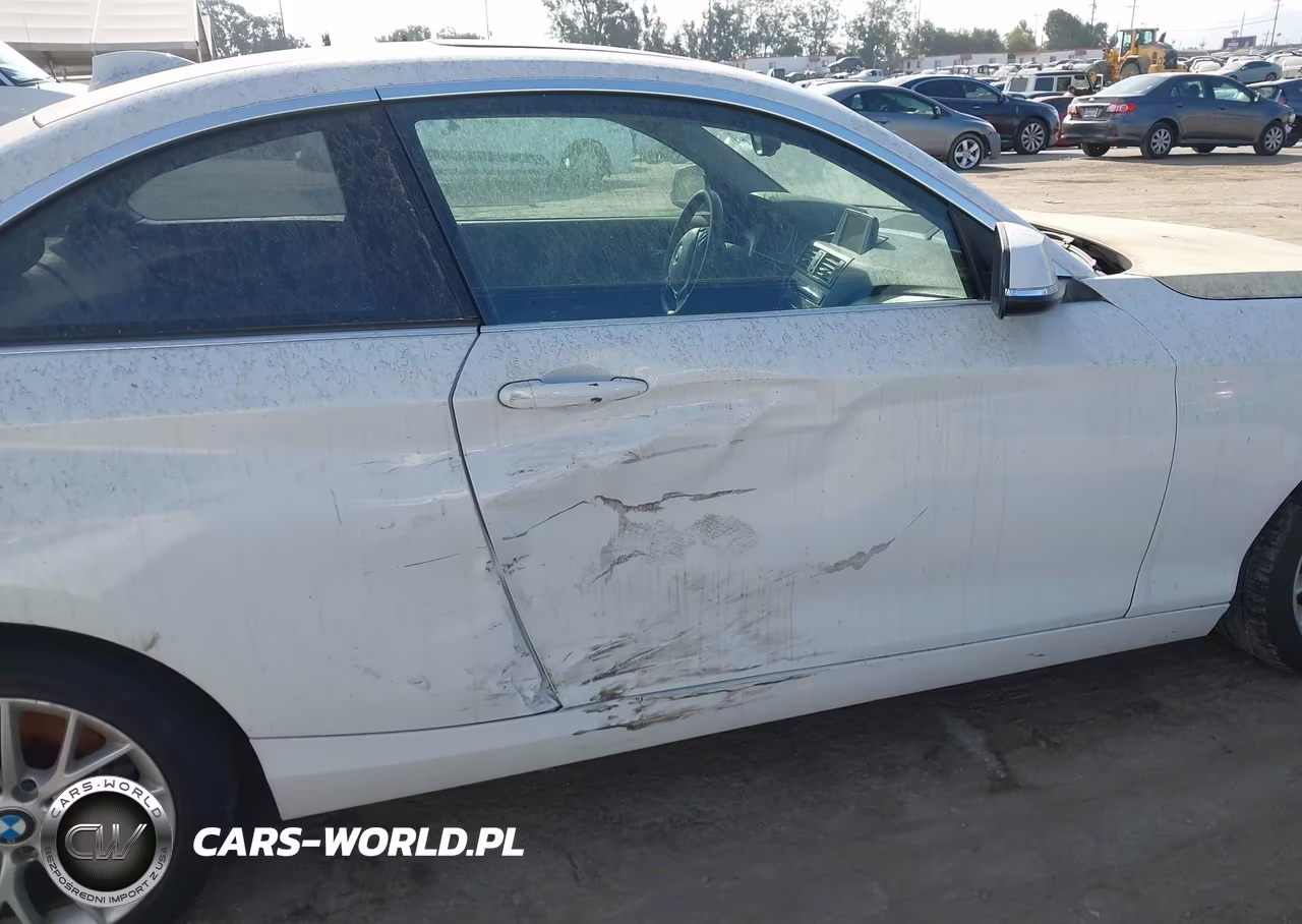 2014 BMW 228I VIN:WBA1F5C58EV255901 - 6