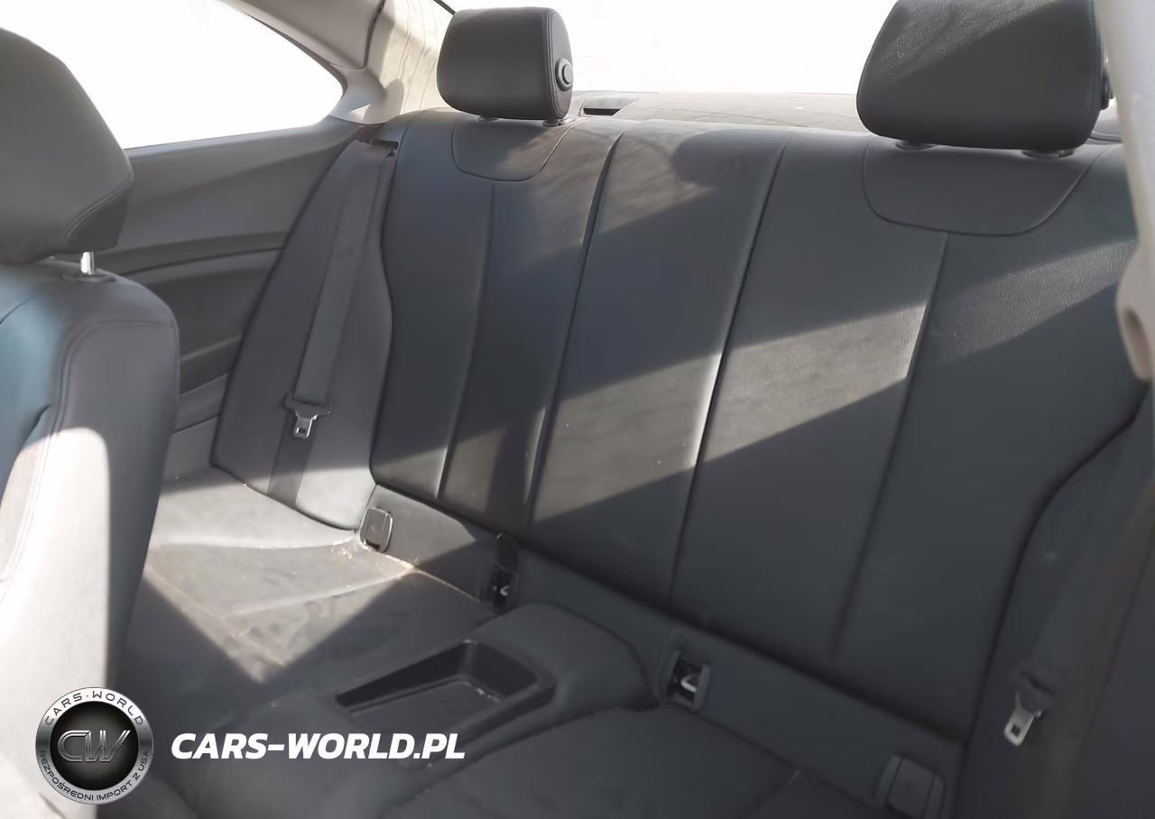 2014 BMW 228I VIN:WBA1F5C58EV255901 - 8