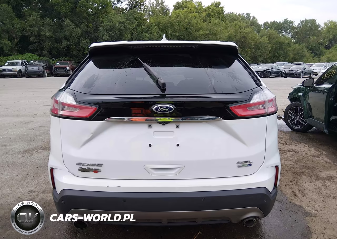 2019 Ford Edge Sel VIN:2FMPK4J99KBC69785 - 17