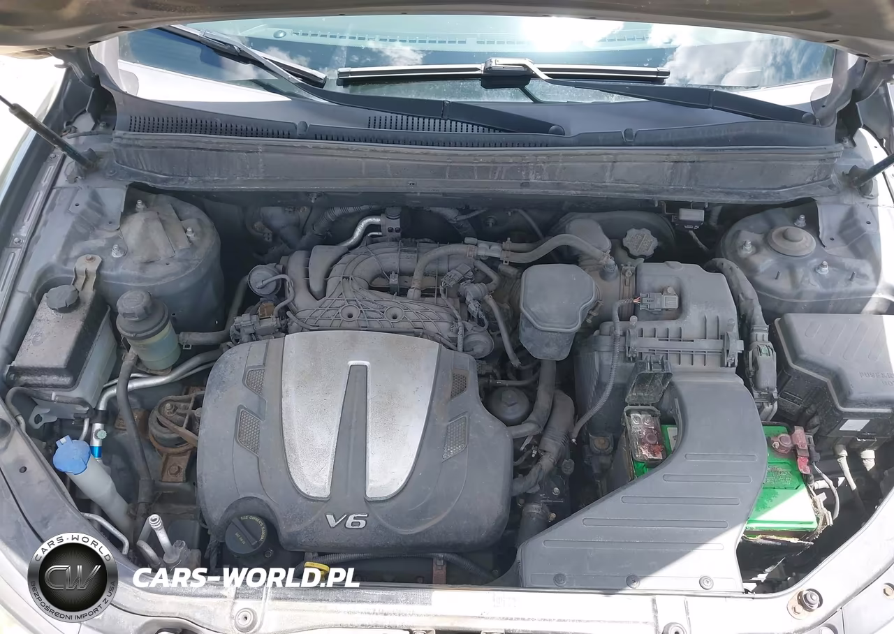 2010 Hyundai Santa Fe Se VIN:5NMSHDAG1AH407816 - 10
