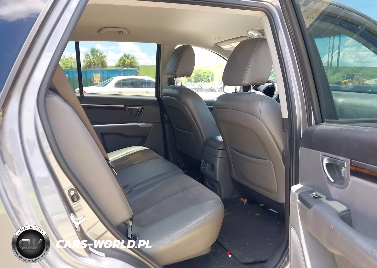 2010 Hyundai Santa Fe Se VIN:5NMSHDAG1AH407816 - 8