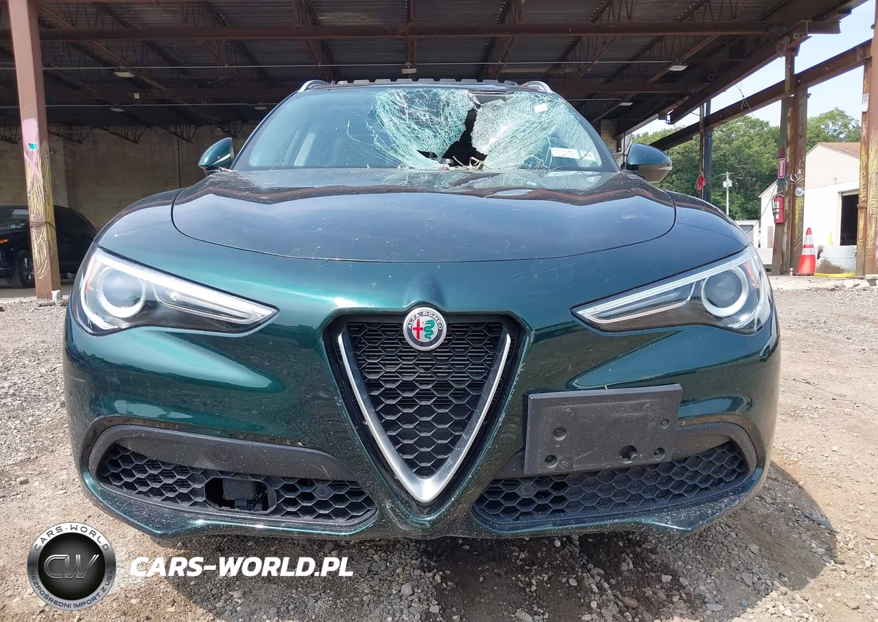 2021 Alfa Romeo Stelvio Awd VIN:ZASPAKAN5M7D11834 - 12