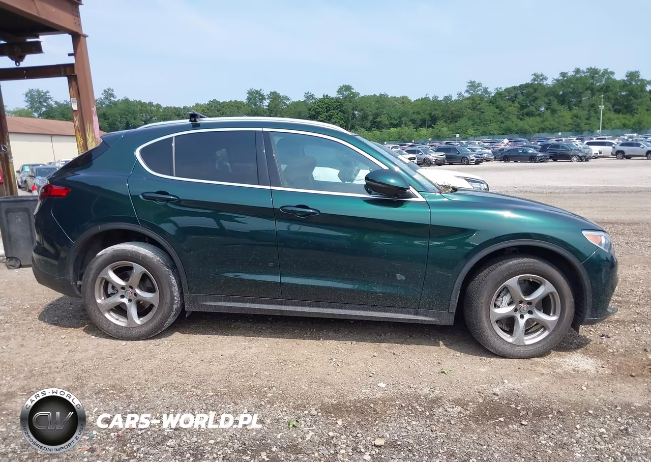 2021 Alfa Romeo Stelvio Awd VIN:ZASPAKAN5M7D11834 - 13