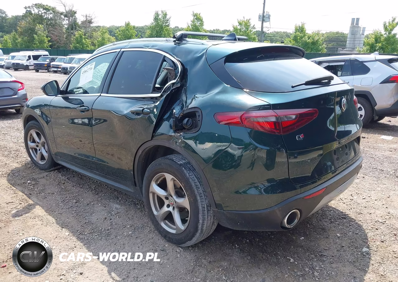 2021 Alfa Romeo Stelvio Awd VIN:ZASPAKAN5M7D11834 - 3