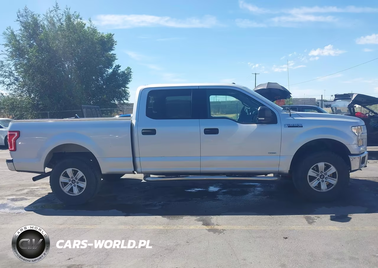 2015 Ford F-150 Xlt VIN:1FTFW1EG0FKD61116 - 13