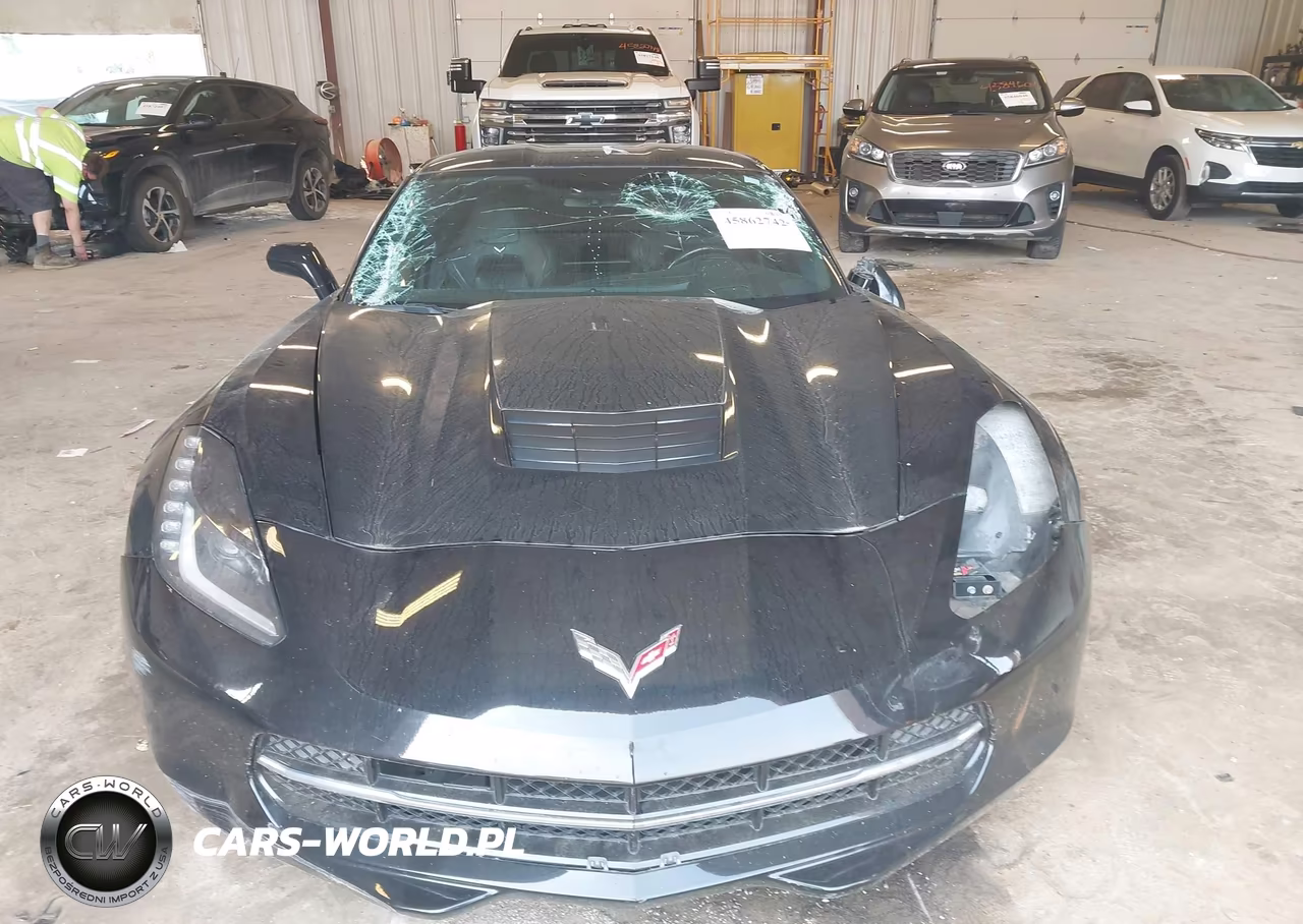 2014 Chevrolet Corvette Stingray VIN:1G1YD2D75E5134676 - 12