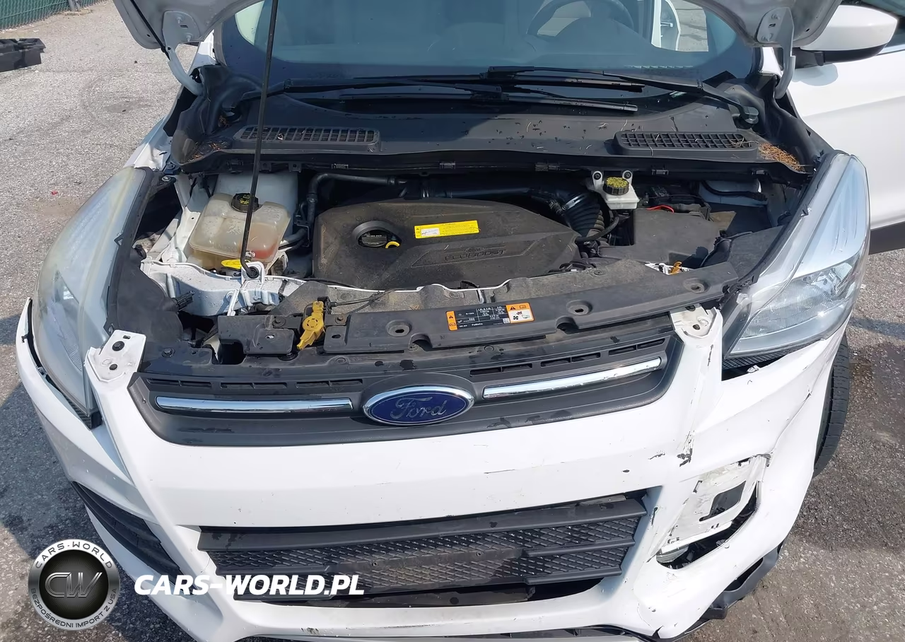 2016 Ford Escape Se VIN:1FMCU9GX6GUC20654 - 10