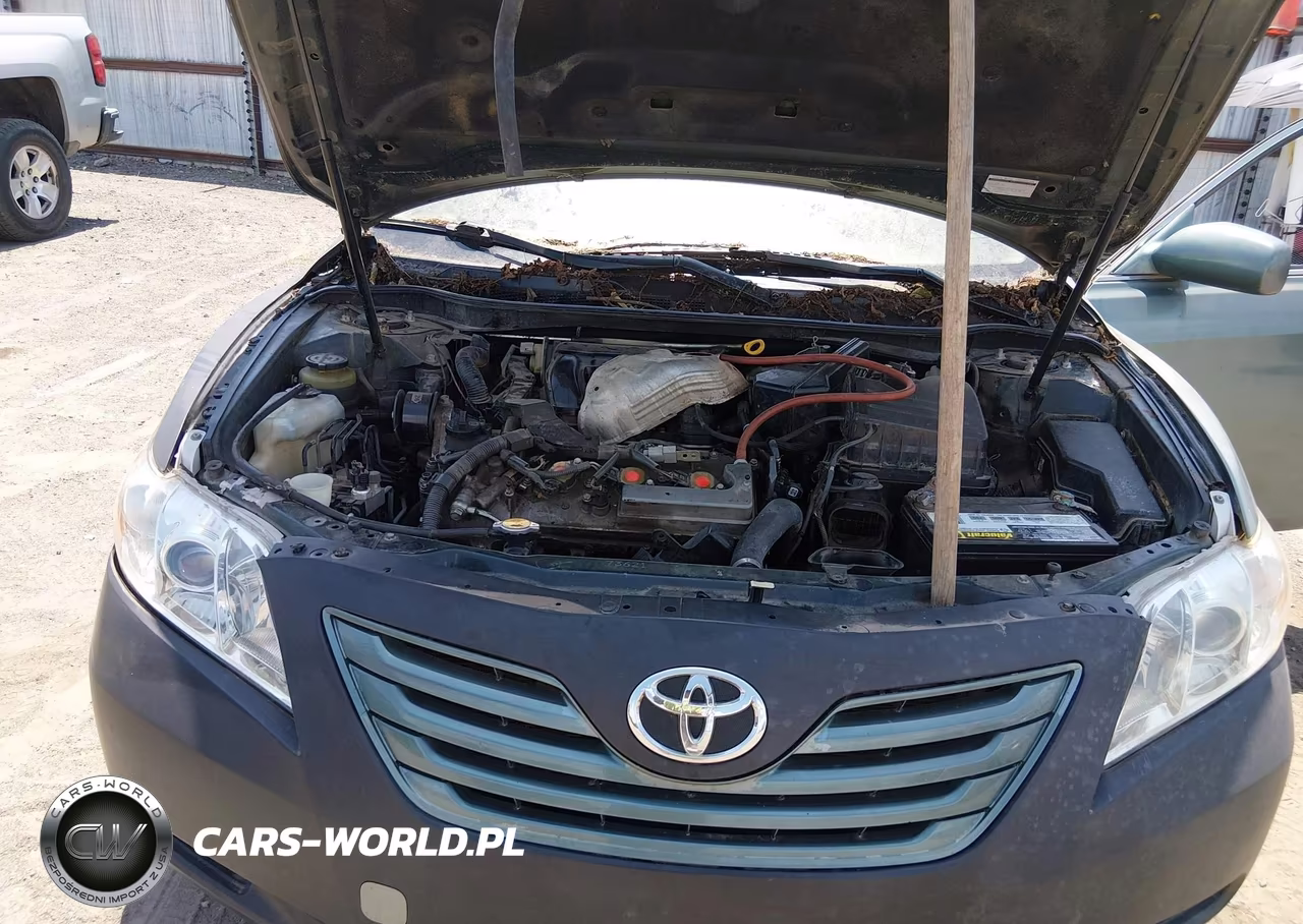 2009 Toyota Camry Le V6 VIN:JTNBK46K893045827 - 10