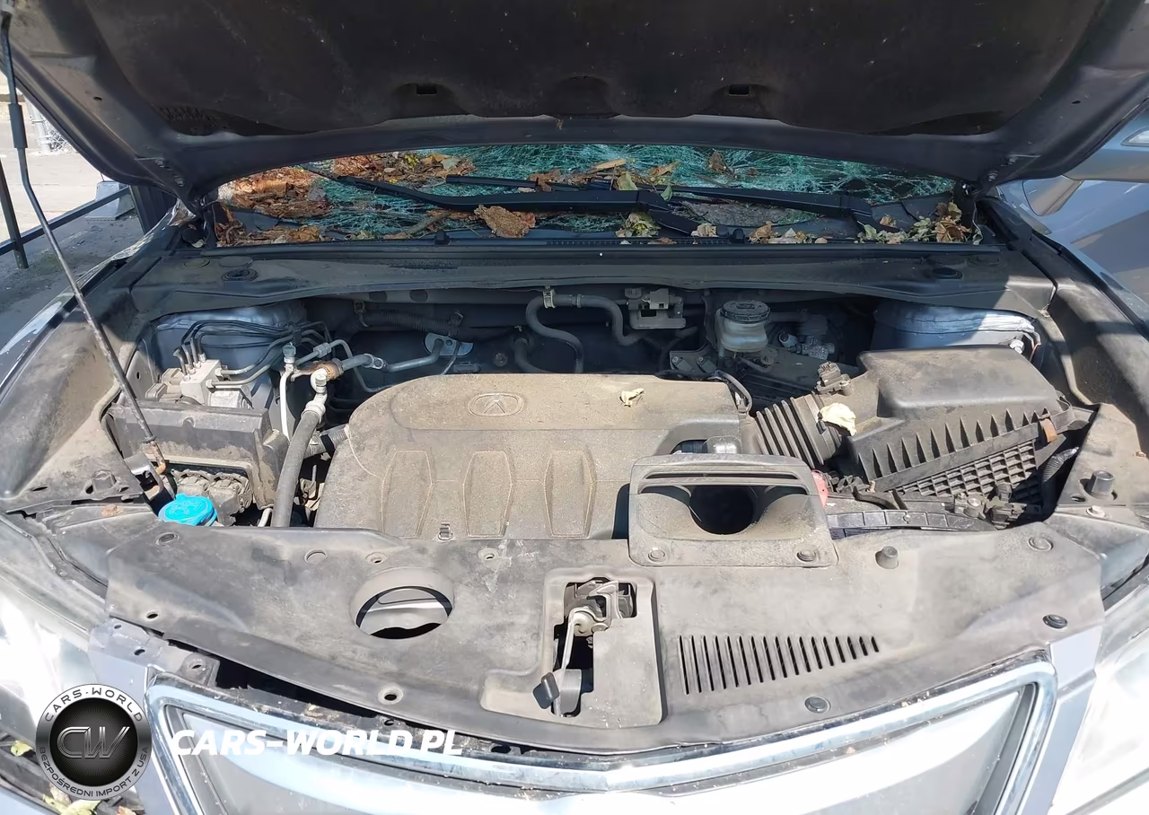 2013 Acura Rdx VIN:5J8TB4H52DL008346 - 10