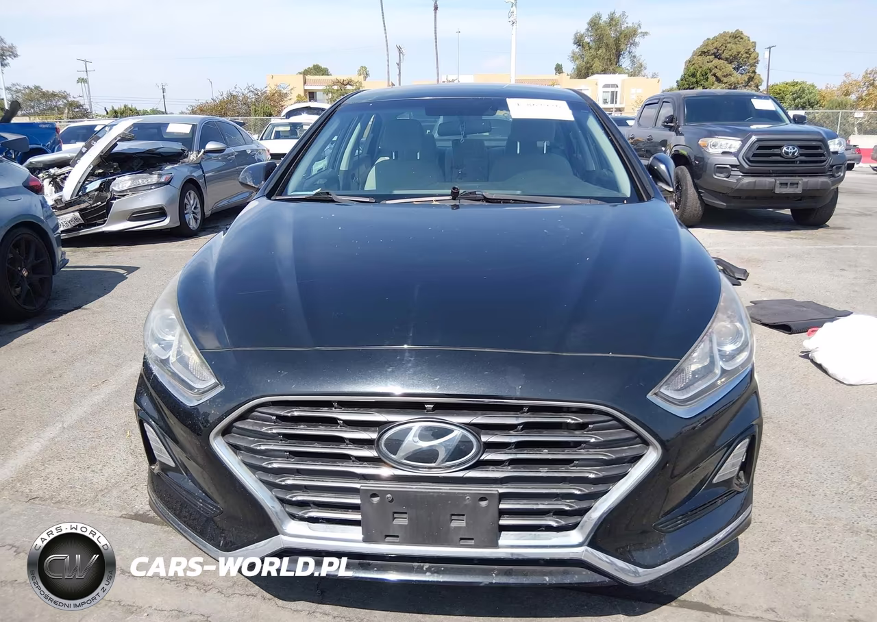2019 Hyundai Sonata Se VIN:5NPE24AF6KH790176 - 12