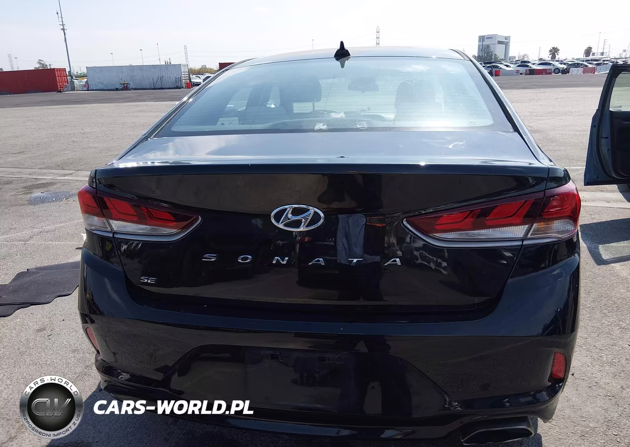 2019 Hyundai Sonata Se VIN:5NPE24AF6KH790176 - 16