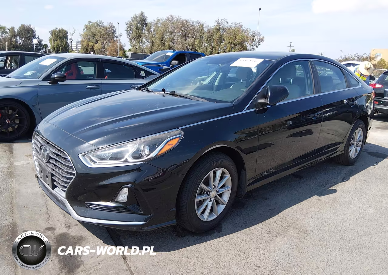 2019 Hyundai Sonata Se VIN:5NPE24AF6KH790176 - 2